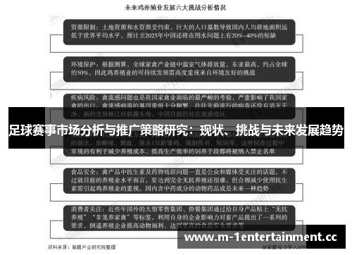 足球赛事市场分析与推广策略研究：现状、挑战与未来发展趋势