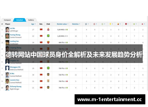 德转网站中国球员身价全解析及未来发展趋势分析