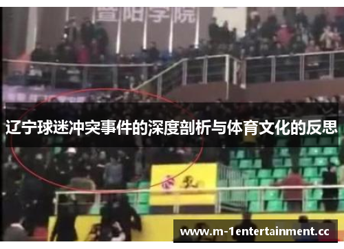 辽宁球迷冲突事件的深度剖析与体育文化的反思