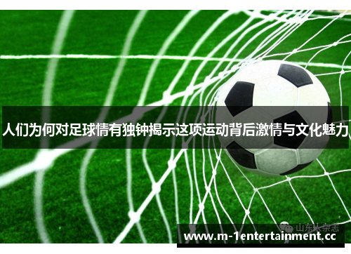 人们为何对足球情有独钟揭示这项运动背后激情与文化魅力