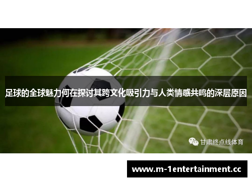 足球的全球魅力何在探讨其跨文化吸引力与人类情感共鸣的深层原因 足球的全球魅力何在探讨其跨文化吸引力与人类情感共鸣的深层原因